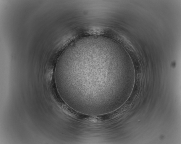 X0000097460652200802291237