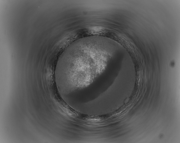 X0000097460653200802291237