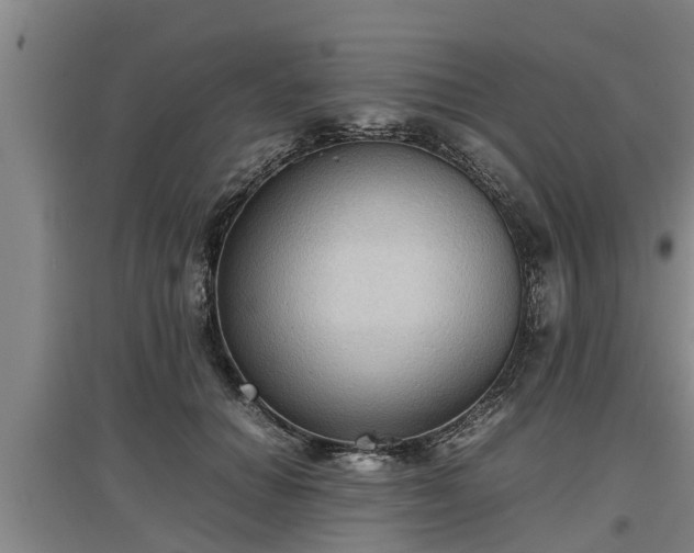 X0000097460654200802291237