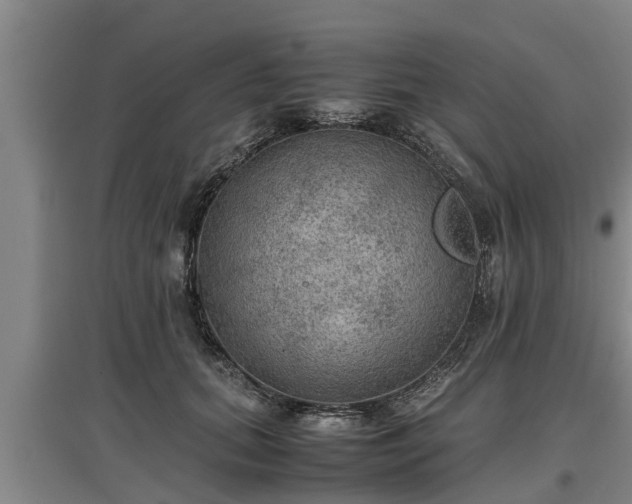 X0000097460655200802291237