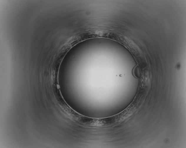 X0000097460656200802291237