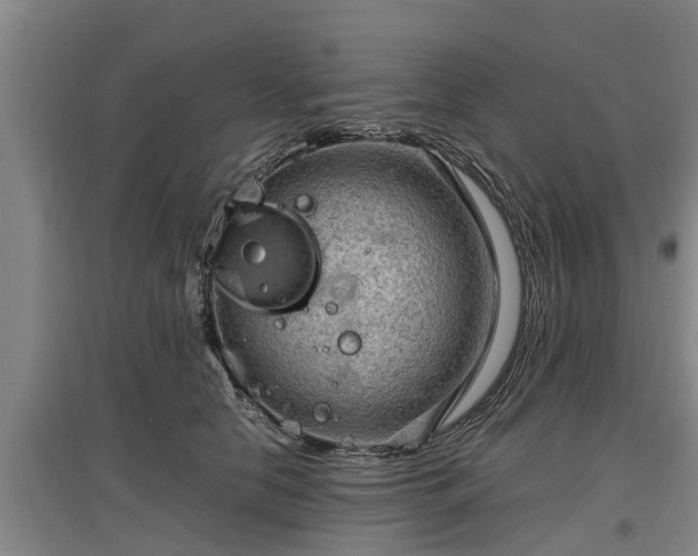 X0000097460658200802291237