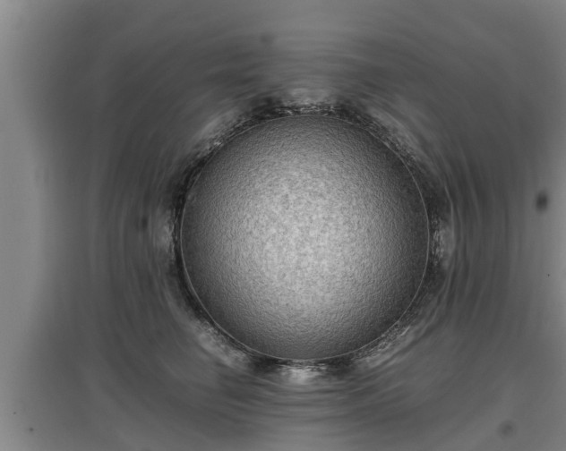 X0000097460662200802291237