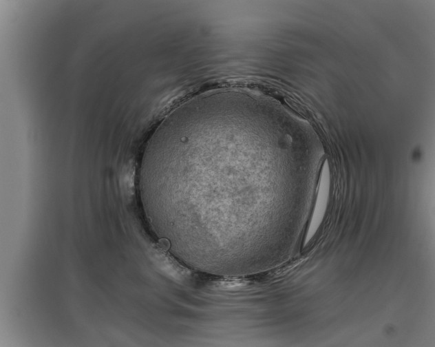 X0000097460668200802291238