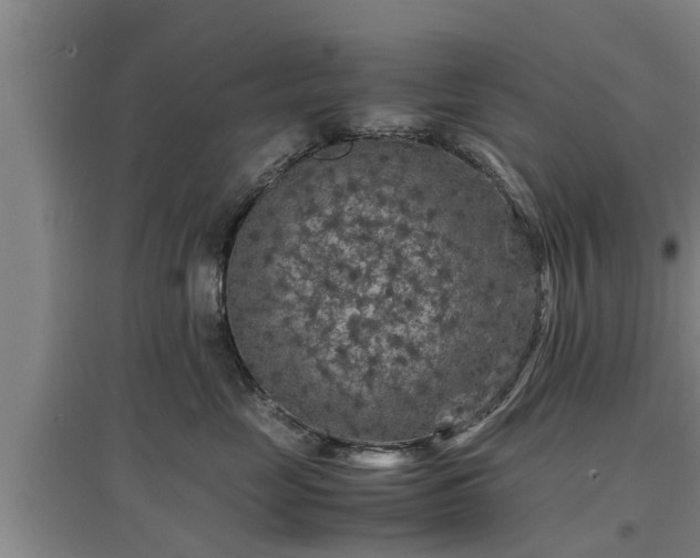 X0000097460669200802291238