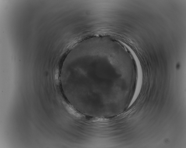 X0000097460670200802291238