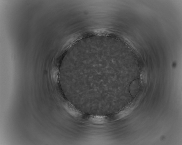 X0000097460671200802291238