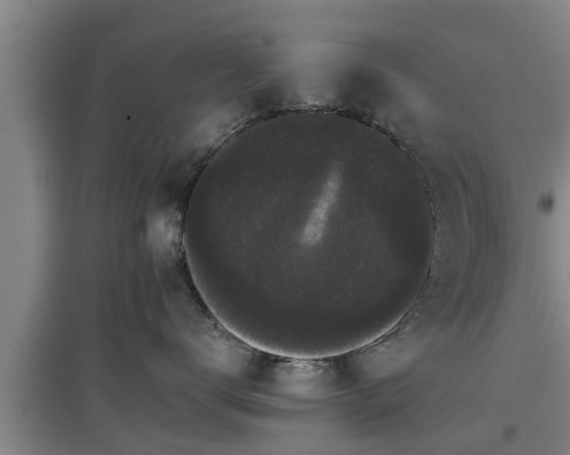 X0000097460672200802291238