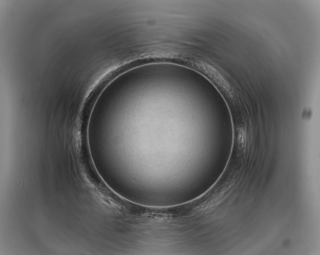 X0000097460676200802291237