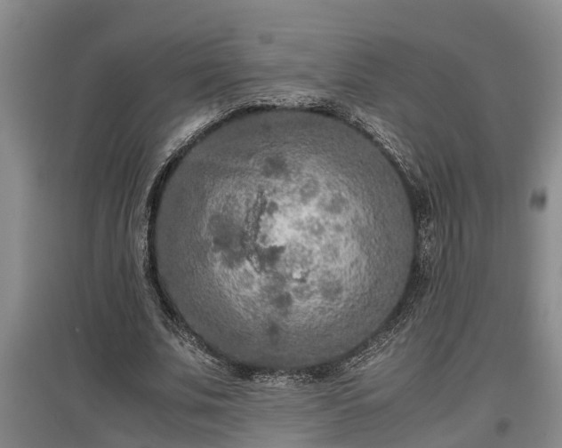 X0000097460679200802291237