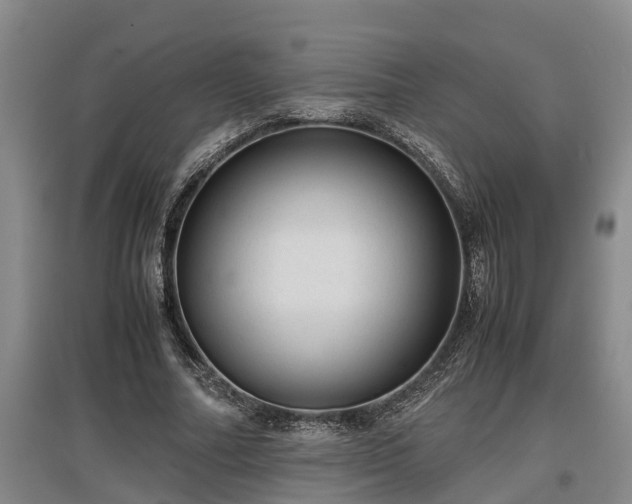 X0000097460682200802291237