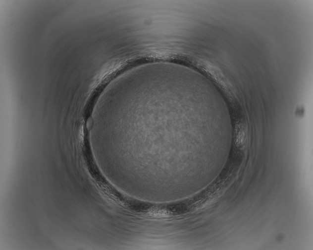 X0000097460685200802291237