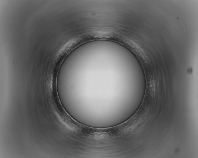 X0000097460686200802291237