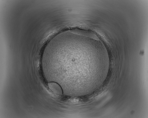 X0000097460687200802291237