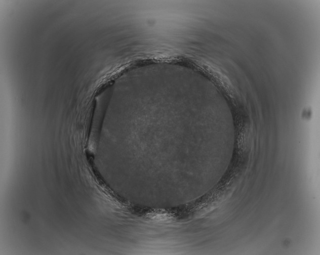 X0000097460689200802291236