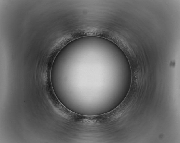 X0000097460690200802291236