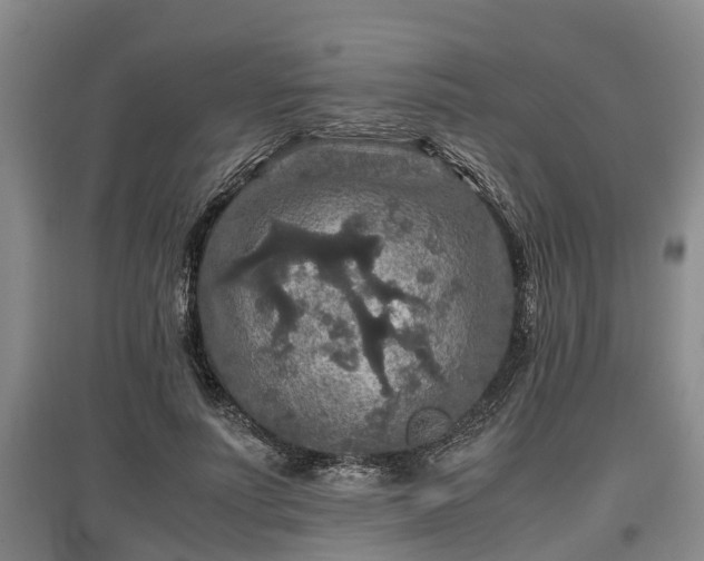 X0000097460691200802291236