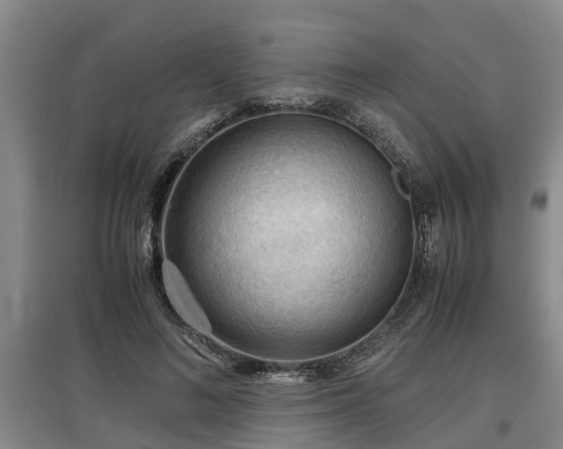 X0000097460692200802291236