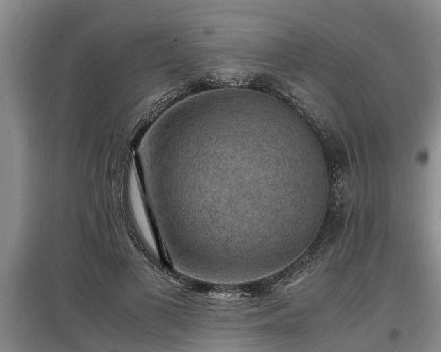 X0000097460693200802291236