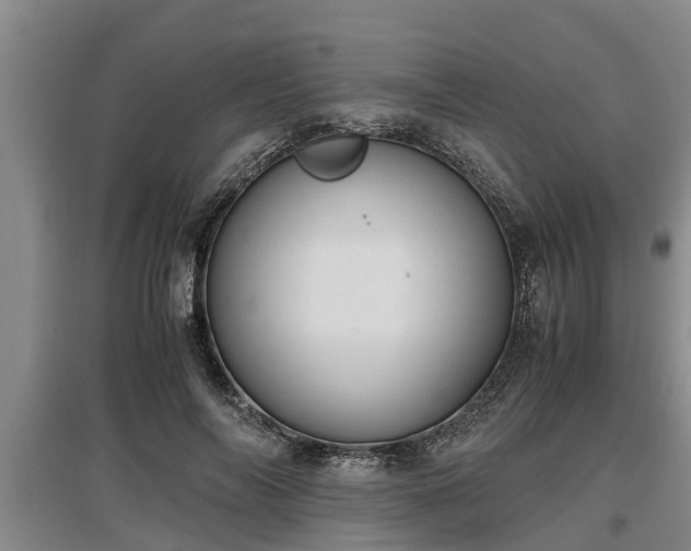 X0000097460694200802291236