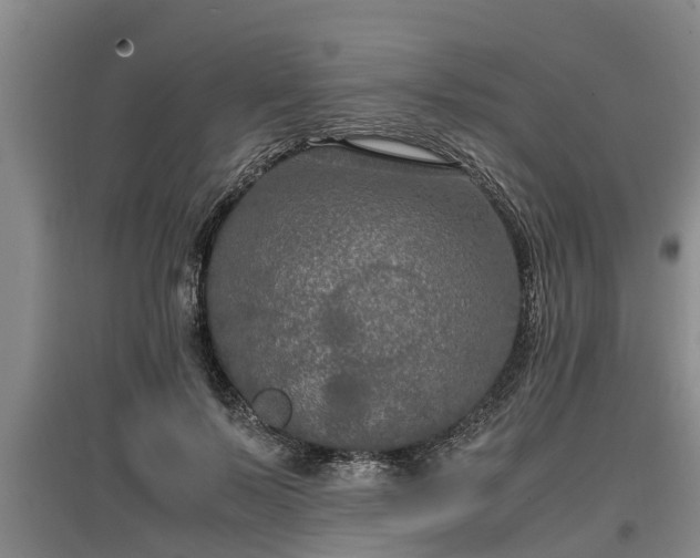 X0000097460695200802291236