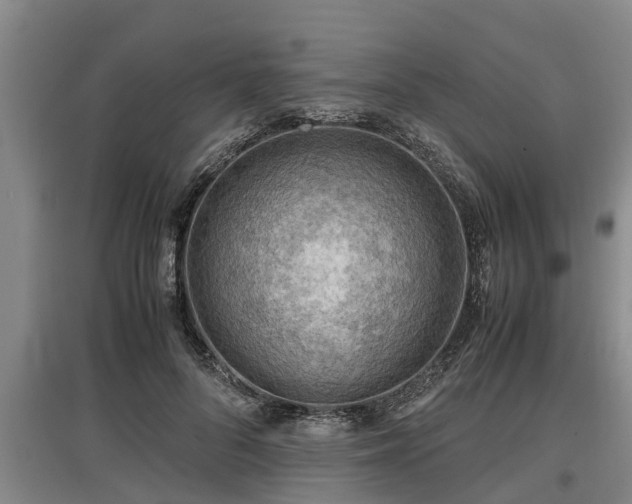 X0000097460696200802291236