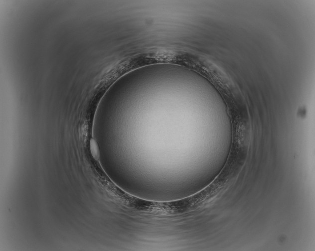 X0000097460697200802291236