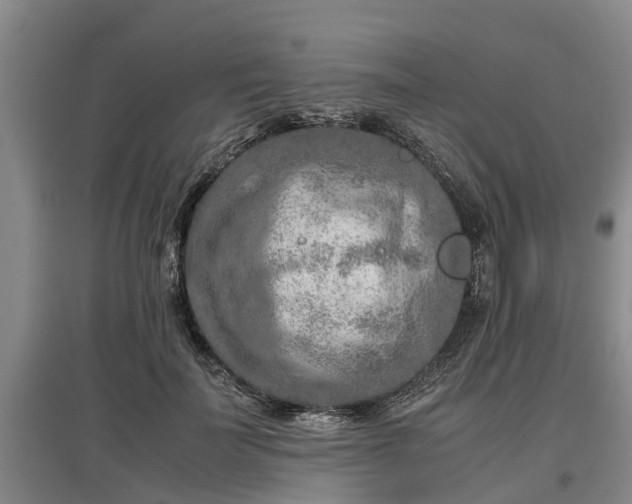 X0000097460699200802291236