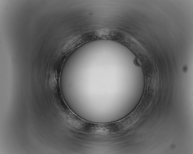 X0000097460702200802291236