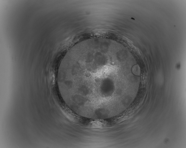 X0000097460703200802291236