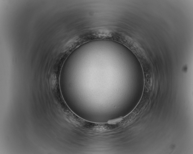 X0000097460704200802291236