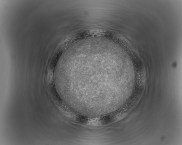 X0000097460705200802291236