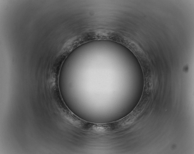 X0000097460706200802291236