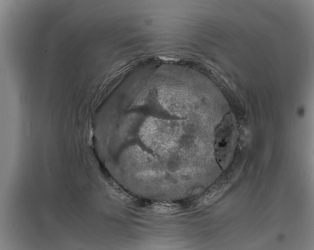 X0000097460707200802291236