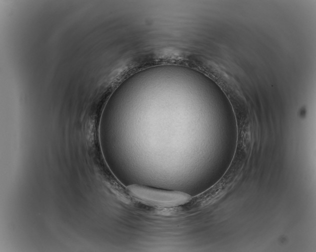 X0000097460708200802291236