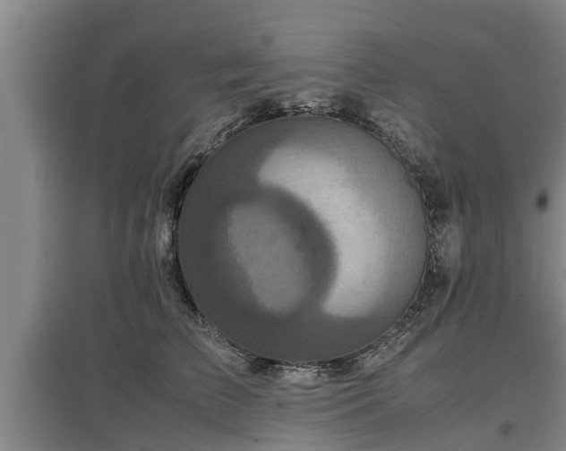 X0000097460709200802291236