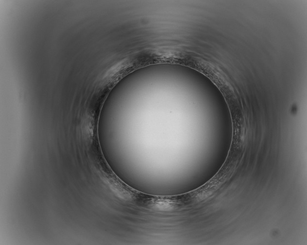 X0000097460710200802291236