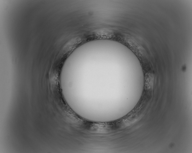 X0000097460713200802291236