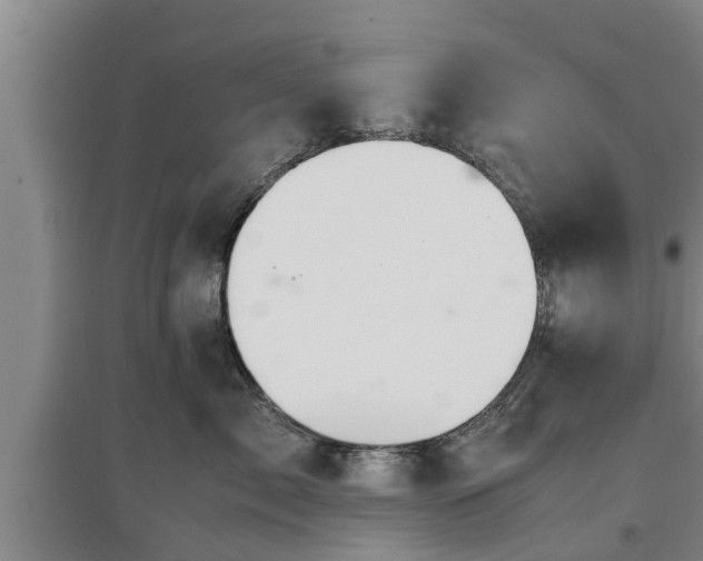 X0000097460717200802291236