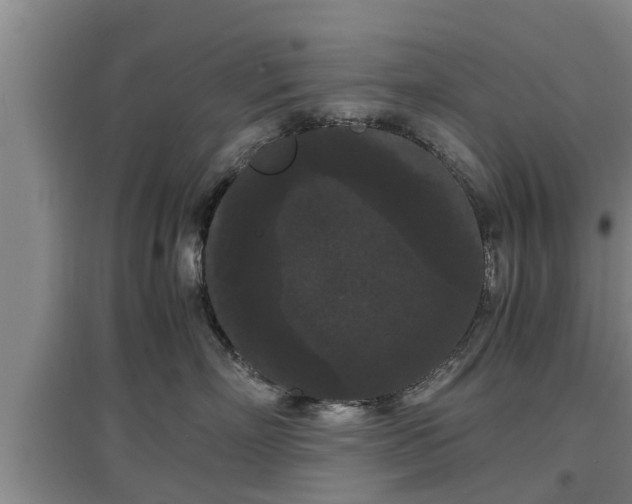 X0000097460718200802291236