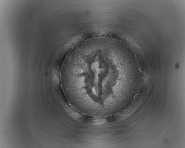 X0000097460719200802291236