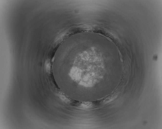 X0000097460720200802291236