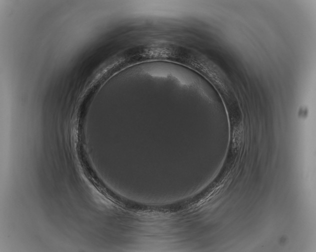 X0000097460722200802291235