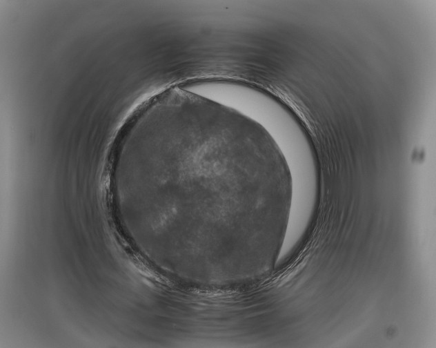 X0000097460723200802291235