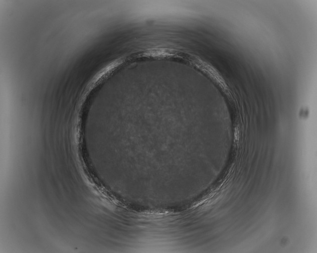 X0000097460724200802291235