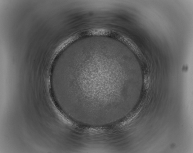 X0000097460725200802291235