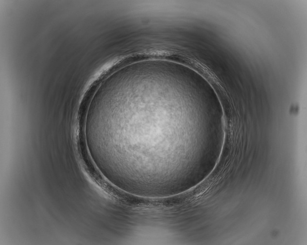 X0000097460726200802291235