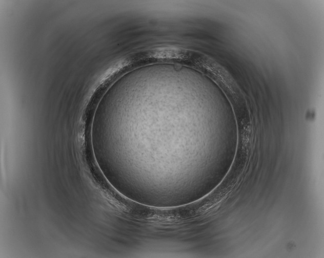 X0000097460727200802291235