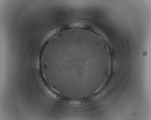 X0000097460729200802291235