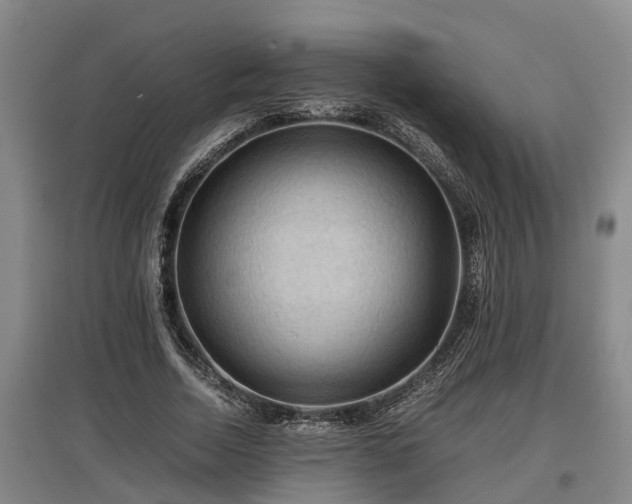 X0000097460730200802291235